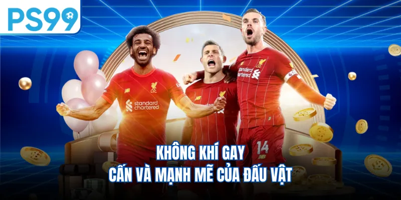 Không khí gay cấn và mạnh mẽ của đấu vật